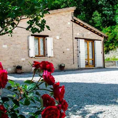 Calmancino Delle Selve Bed & Breakfast Urbino Exterior photo