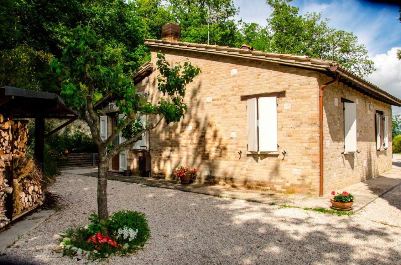 Calmancino Delle Selve Bed & Breakfast Urbino Exterior photo
