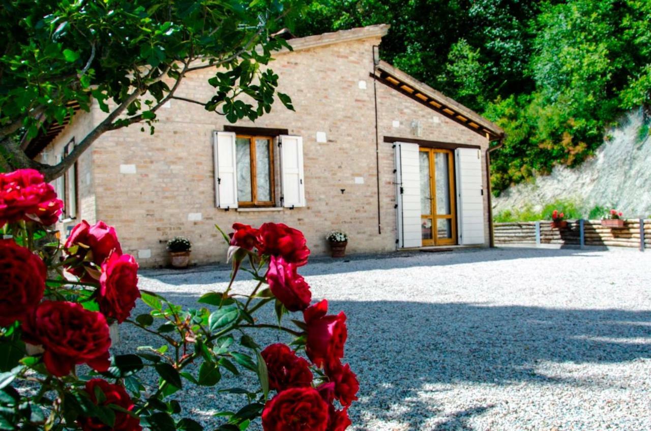 Calmancino Delle Selve Bed & Breakfast Urbino Exterior photo