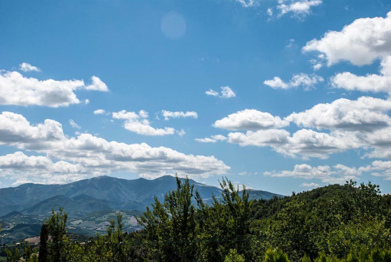 Calmancino Delle Selve Bed & Breakfast Urbino Exterior photo